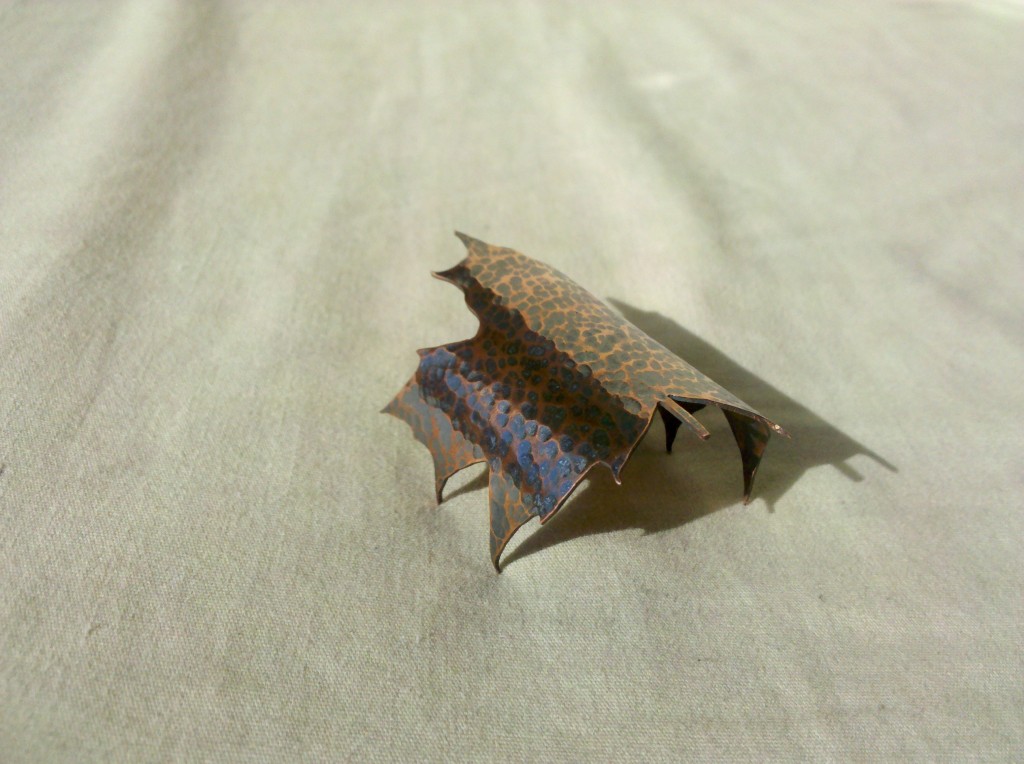 IMG_20111109_110736